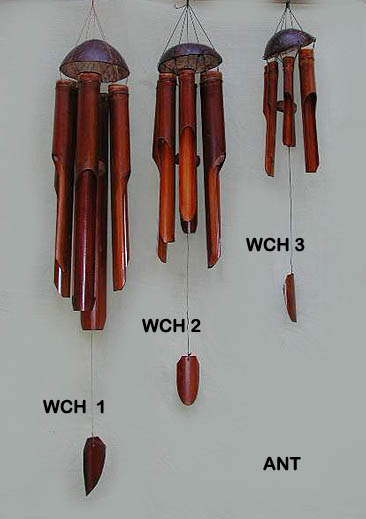 wch1wch2wch3antcopy.jpg